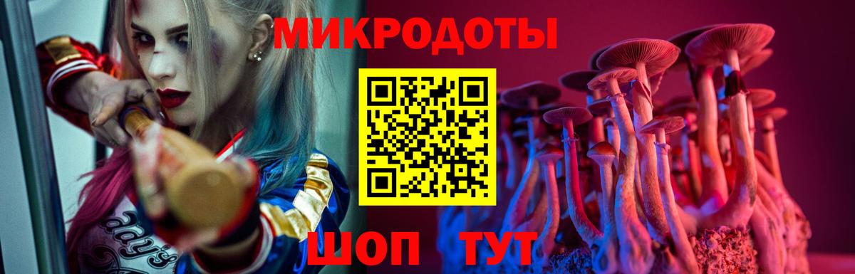 продажа наркотиков  Псилоцибиновые грибы GOLDEN TEACHER  Вход с VPN  Татарск 